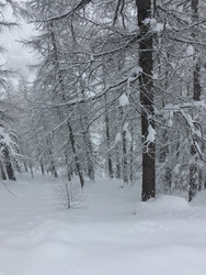 Courir après la neige … jusqu'à Sestrières