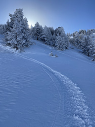 Blue Bird Day… again!