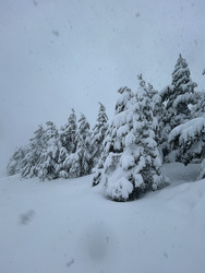 Épisode neigeux méditerranéen :)