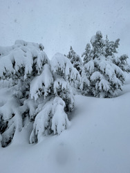 Épisode neigeux méditerranéen :)