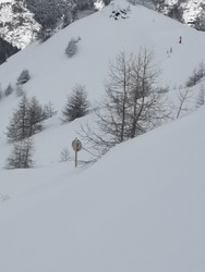 Serrechevalier 