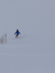 Serrechevalier 