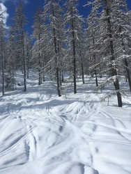 skier, dormir, répéter… 😁