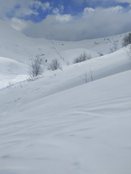 Le coup de blanc hebdomadaire, minimaliste 