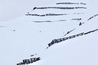 On a crois&eacute; Blanche Neige et les sept nains 😍