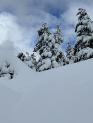 Neige bien alourdie par la pluie..