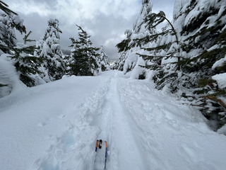 Neige bien alourdie par la pluie..