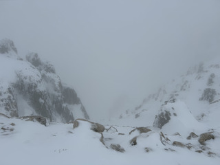 Neige bien alourdie par la pluie..