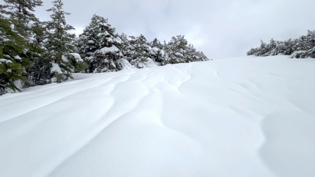 Neige bien alourdie par la pluie..