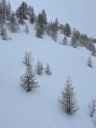 Journée poudreuse 