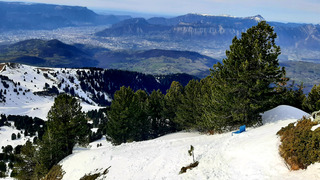 Le Croissant, c'est excellent ! 🥐 🤩 