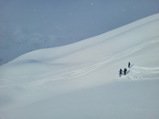Un goût d´Alaska