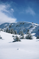 Gréolieres 5 *
