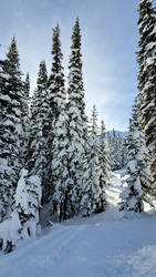 Whistler: un autre monde! 