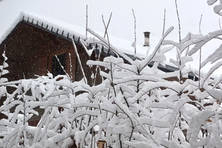 Quelle paire de skis vais-je bien pouvoir sacrifier au d&eacute;jeuner ? 
