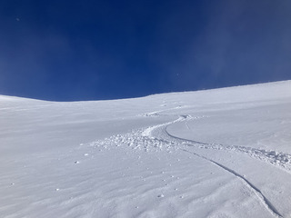 Purée de poix puis soleil😜