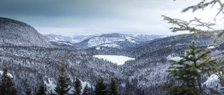 Parc des grands jardins