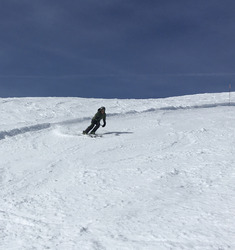 La joie du printemps