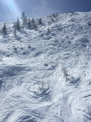 La joie du printemps
