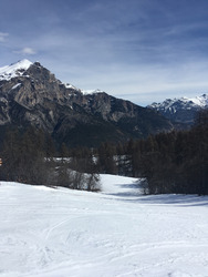 La joie du printemps