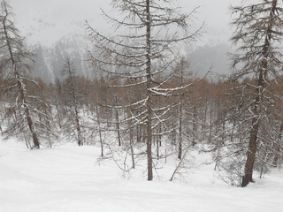 De la neige froide !!