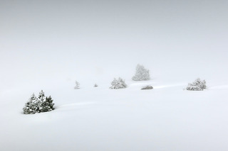 Ambiance onirique sur Chamechaude 🤩