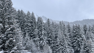 Une dizaine avec du vent 