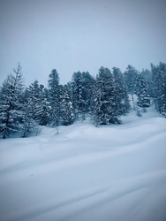 Qui a dit qu'il fallait ranger les skis ? 