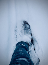 Qui a dit qu'il fallait ranger les skis ? 