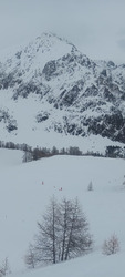(Bonne) poudre lourde ou gros scotch