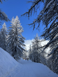 La neige a pris l’eau et ce n’est pas un poisson