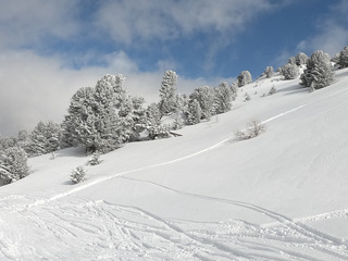 Hivernal !