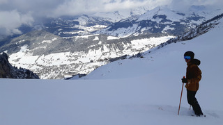 🚨 POWDER ALERT 😀