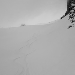 🚨 POWDER ALERT 😀