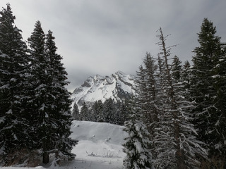 Bonne peuf sur le haut