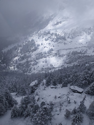 vivre de vent frais et sapins blancs