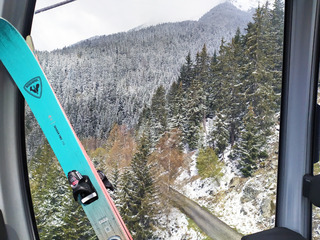 vivre de vent frais et sapins blancs