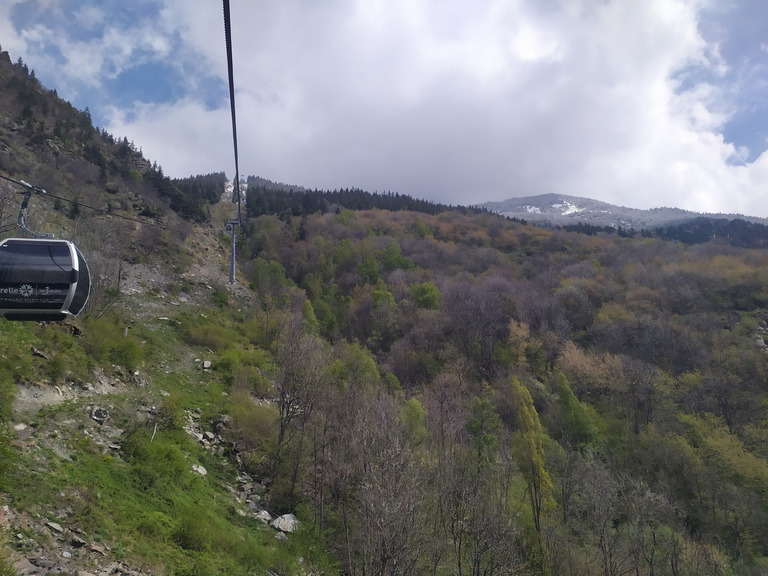 vivre de vent frais et sapins blancs