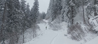 Un Col de l'Evêque en super poudre