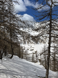 Lac d’Allos alt. 2230m