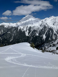 Gavage de Janvril dans les combes des Plagnes