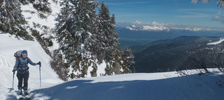 Gavage de Janvril dans les combes des Plagnes