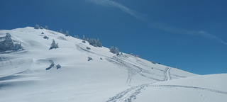 Gavage de Janvril dans les combes des Plagnes