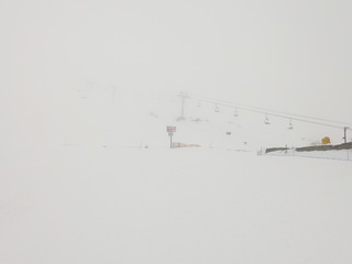 Dans le vent