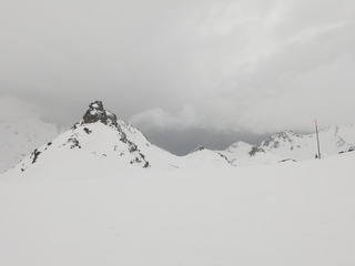 Dans le vent