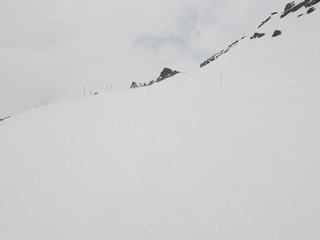Dans le vent