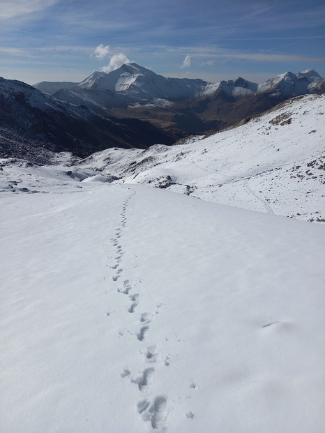 On aurait pu faire du skicaillou !