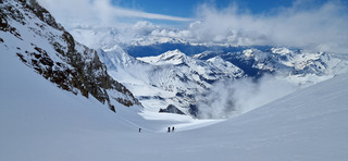 Merveille de moquette 