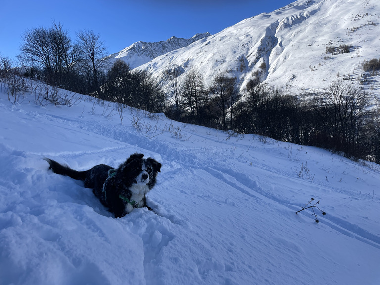 Soleil et poudreuse de Noël