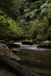 La Cumbre del Volcano
